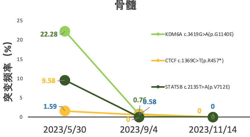 血浆、骨髓动态监测结果2