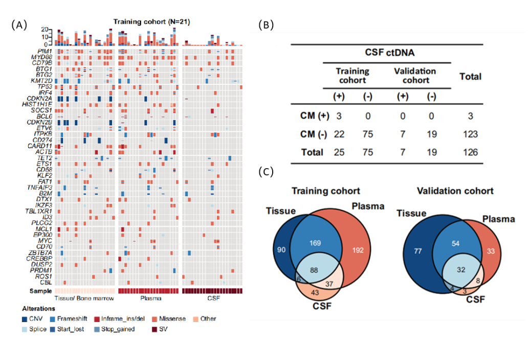 ND-DLBCL初诊时CSF-ctDNA(+)比例、突变特征与CSF-ctDNA浓度分析
