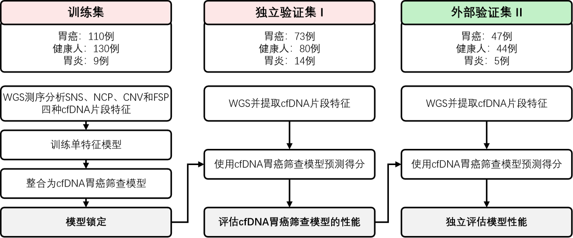 本研究的设计流程概况