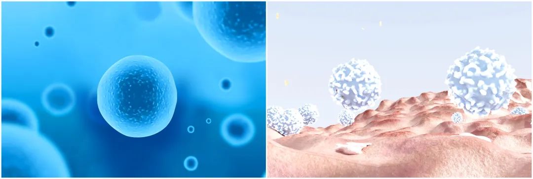 正常细胞与癌细胞