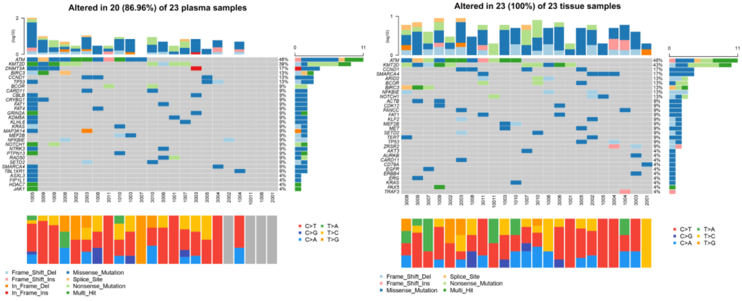 基线组织和血浆ctDNA突变图谱