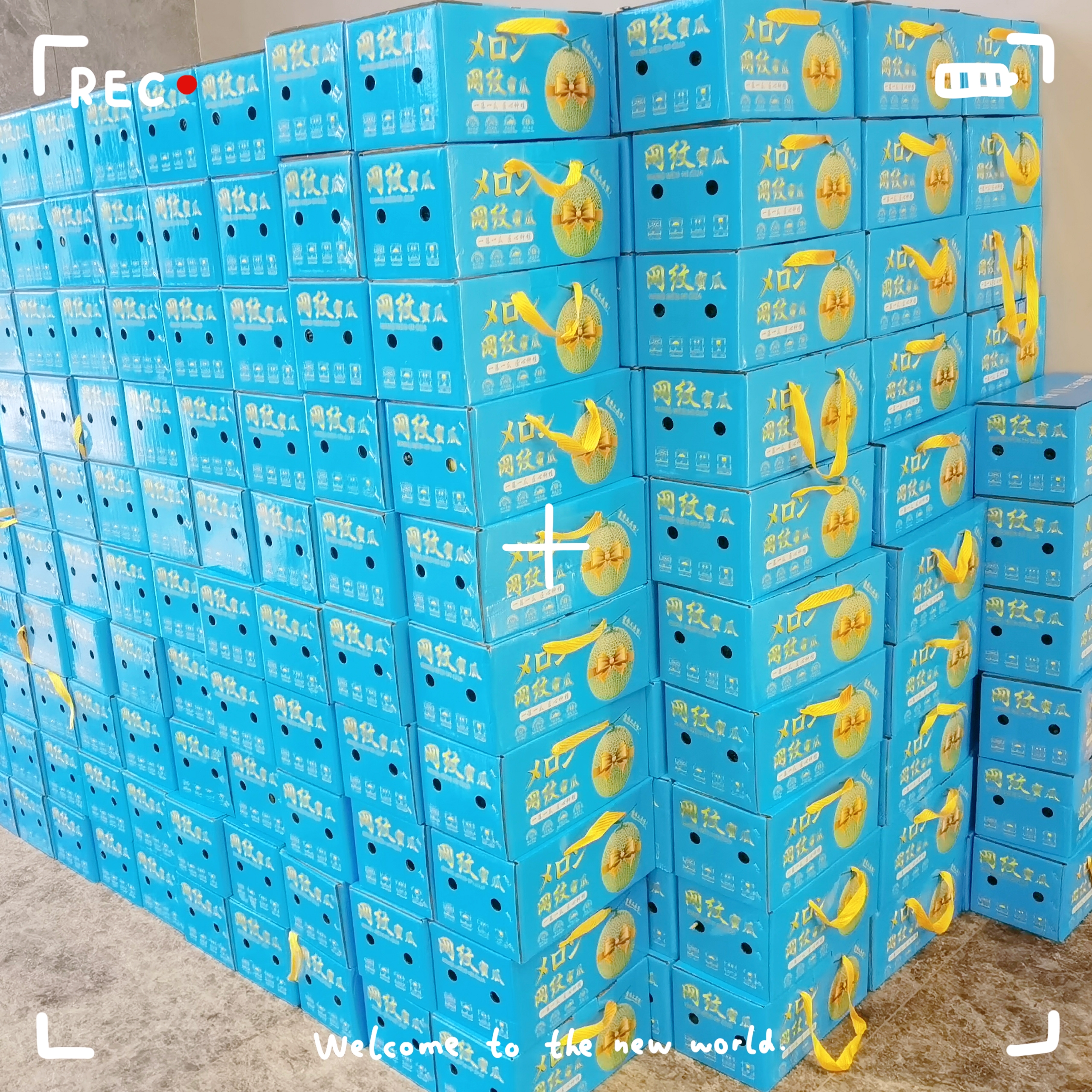 37000vip威尼斯福利