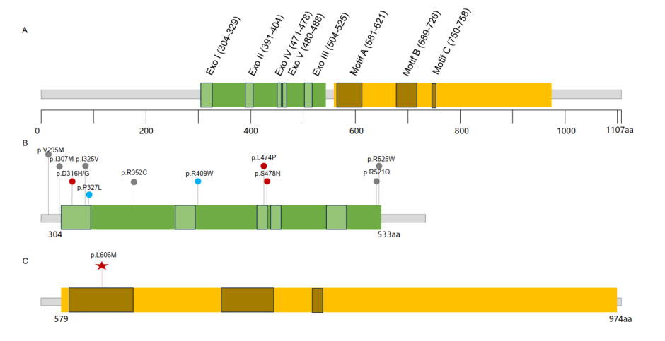 微信图片_20230914140358