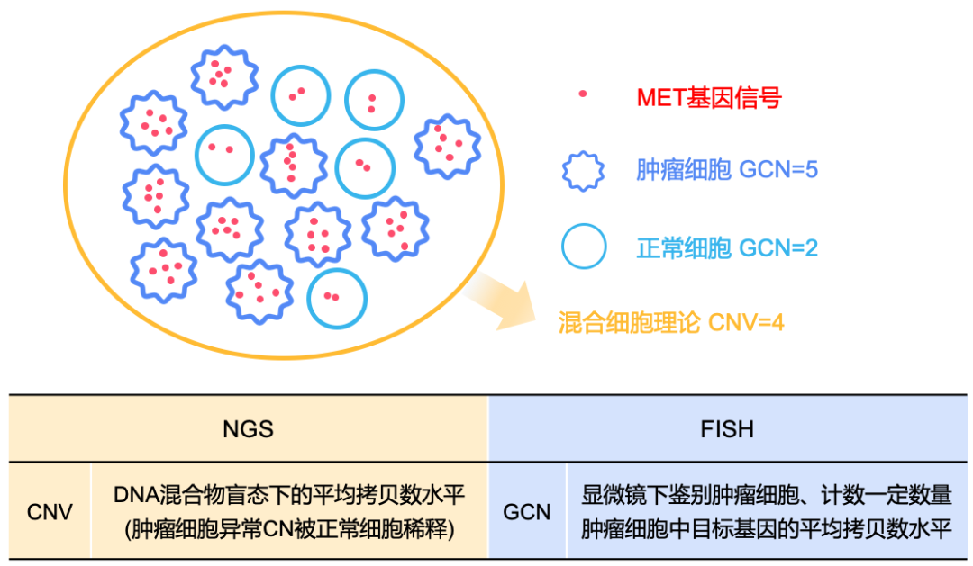 微信图片_20230926115321