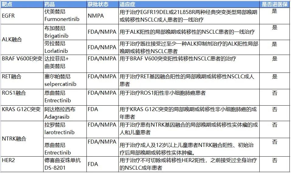 2022年NSCLC获批的靶向药物