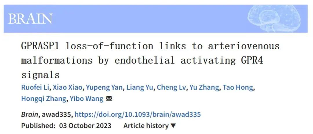 NGS发现新型动静脉畸形致病基因GPRASP1