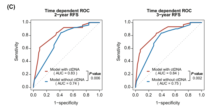 时间依赖的ROC曲线以及RFS模型对应的AUC值