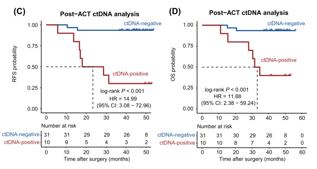 辅助化疗后不同MRD状态患者的RFS和OS