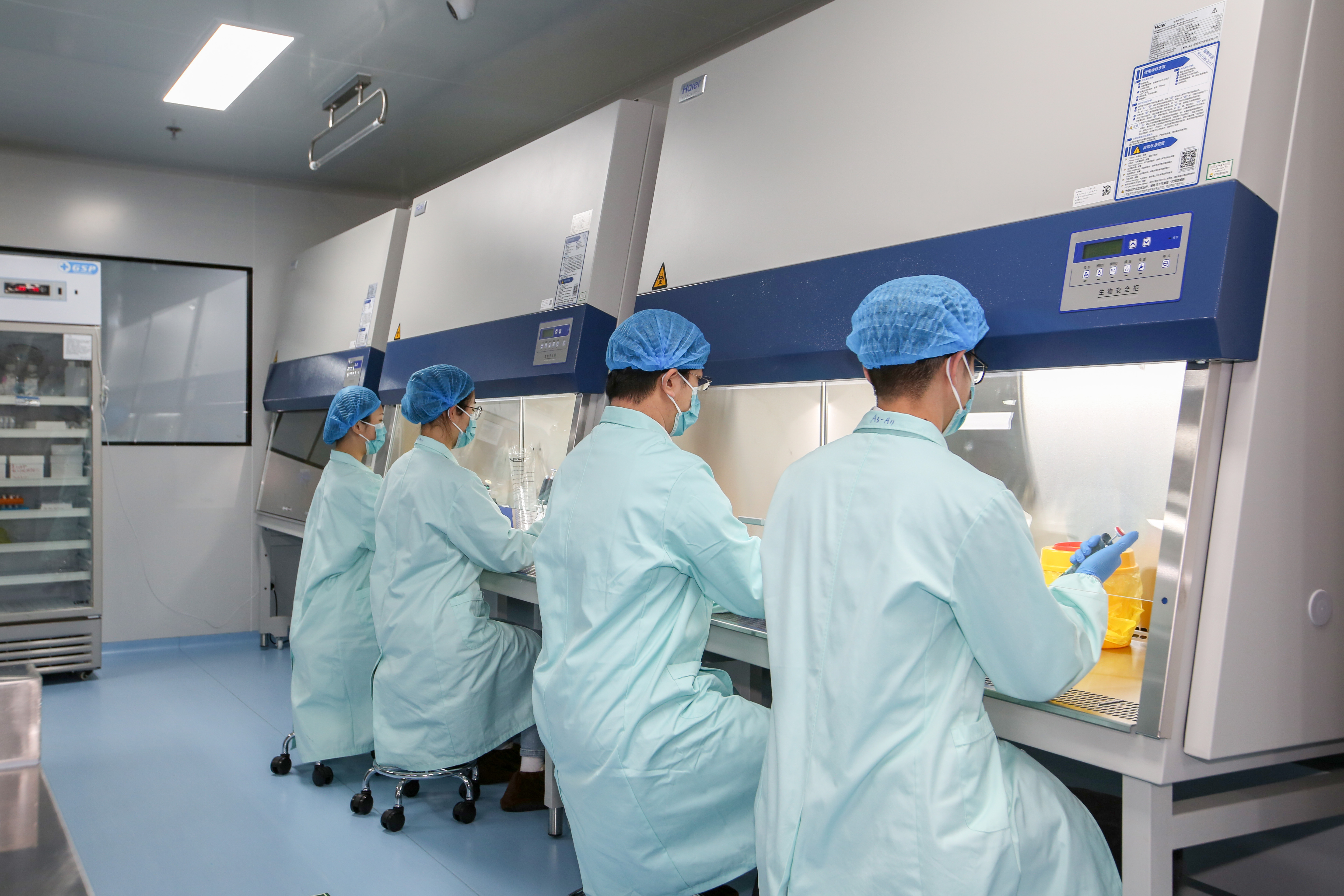 mmexport1635486447165(1)