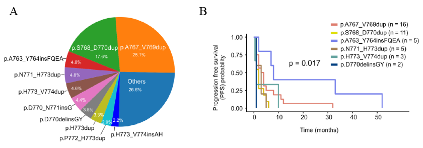中国肺癌患者中EGFR ex20ins突变亚型分布及TKI疗效差异。A：中国肺癌患者中各EGFR ex20ins突变亚型占比；B：不同EGFR ex20ins亚型TKI疗效存在差异