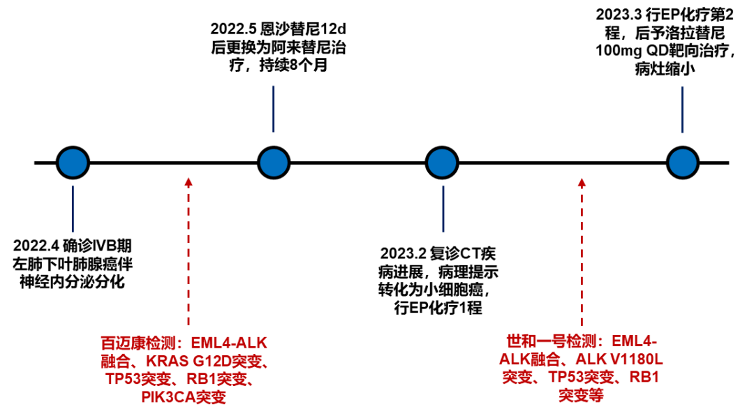 患者诊疗流程总结
