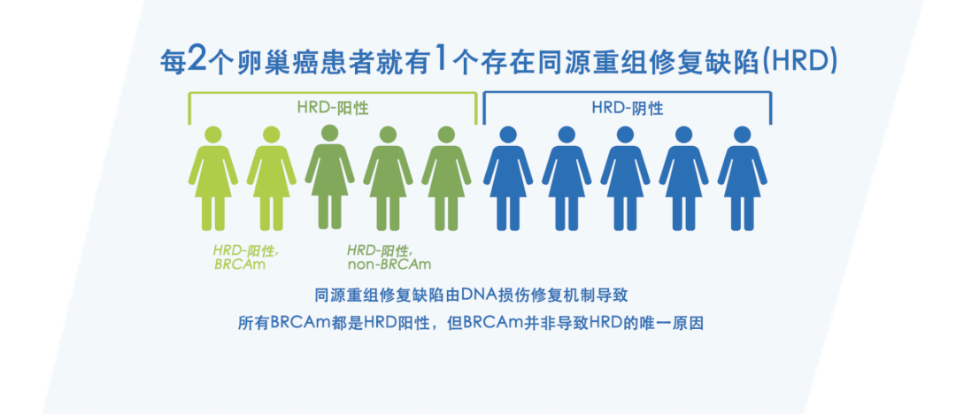 卵巢癌HRD检测