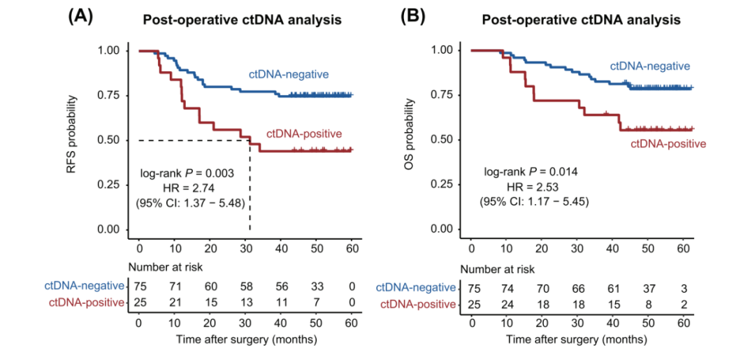 术后不同MRD状态患者的RFS和OS