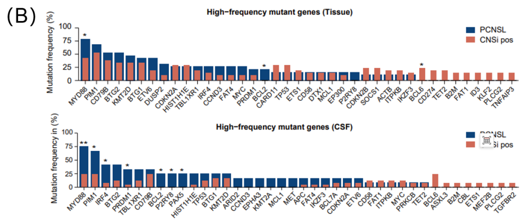 CNSi pos和PCNSL患者分子分型（A）和突变特征（B）对比
