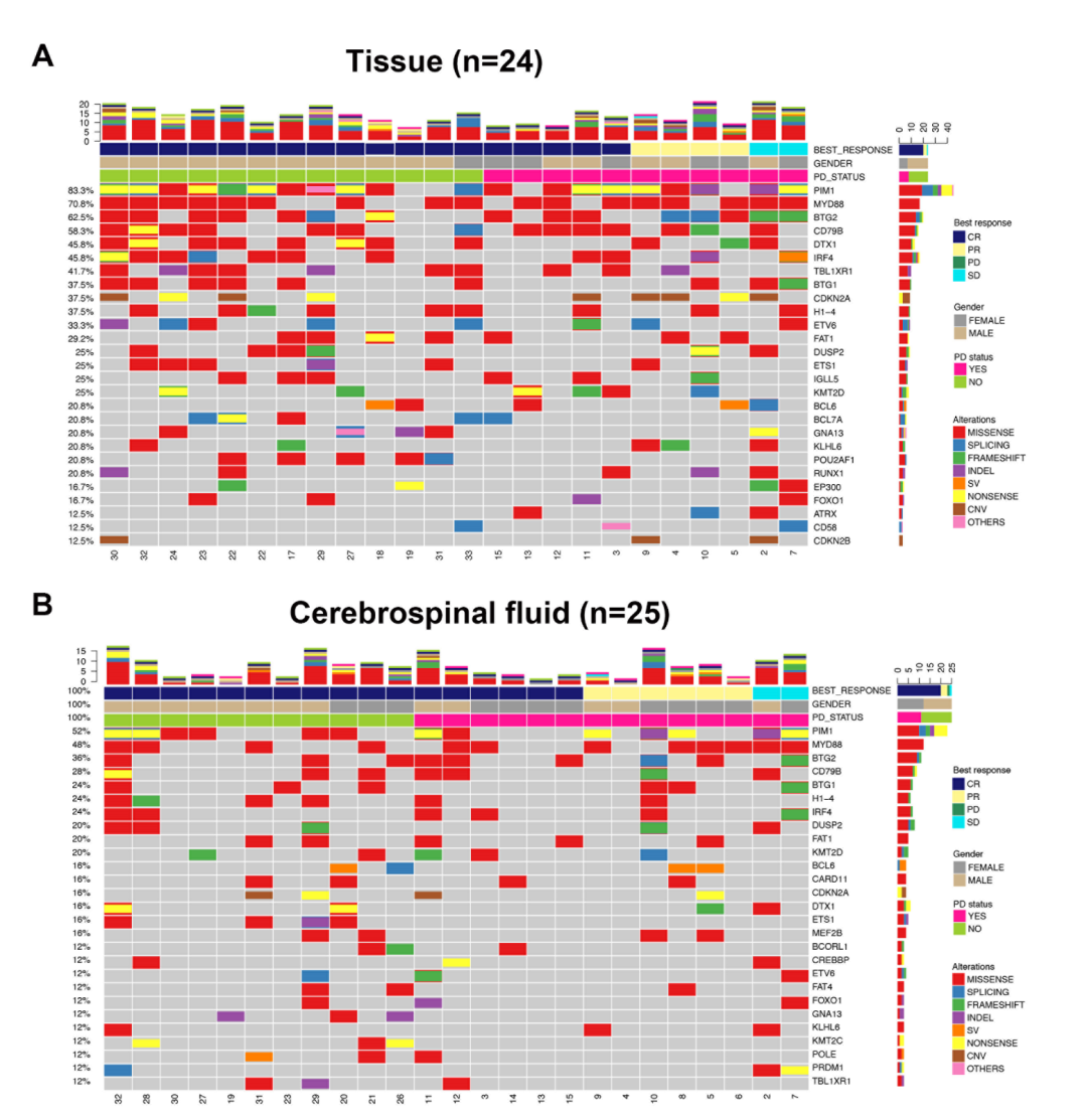 肿瘤组织和脑脊液的基因突变图谱