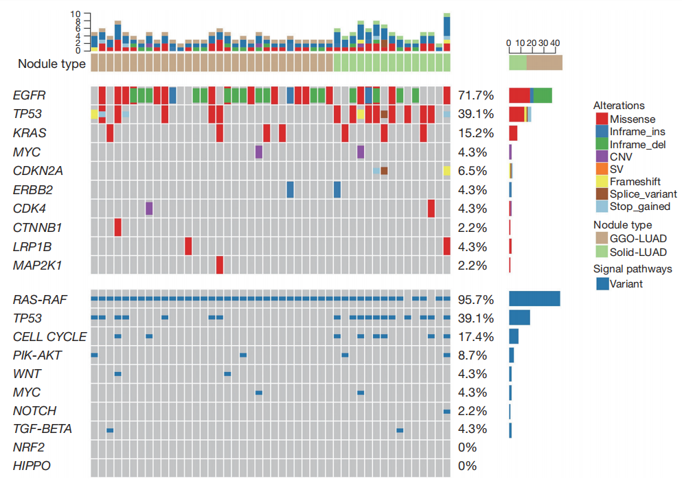 患者体细胞突变和信号通路分子图谱