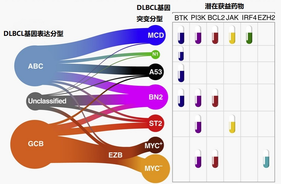 DLBCL患者不同分型潜在获益药物