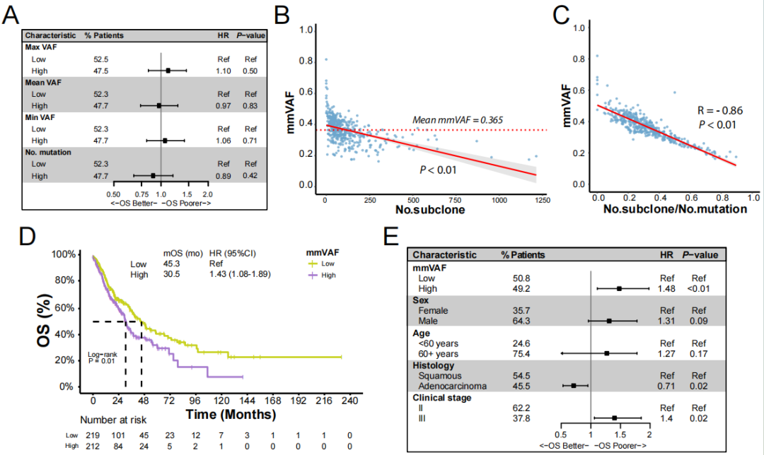 基于组织的mmVAF与肿瘤克隆性及OS相关性分析