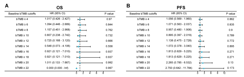 bTMB对OS和PFS预测能力的探索性分析