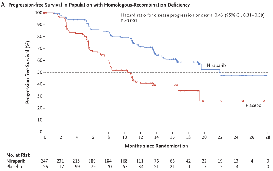 2019年PRIMA研究HRD阳性（包括BRCAm）人群PFS数据