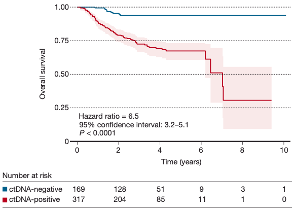 早期肿瘤术前ctDNA状态与RFS和OS的相关性2