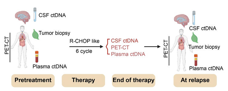 研究方案设计图