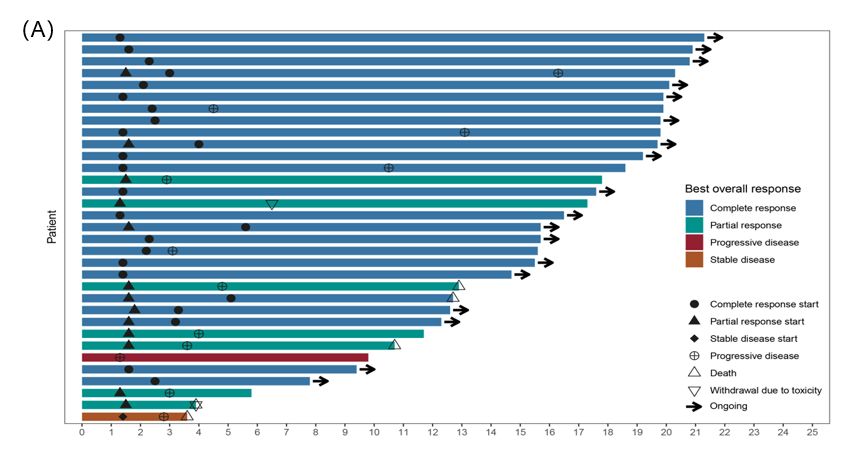 MIT方案一线治疗PCNSL患者的疗效（A）和生存分析（B）
