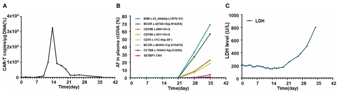 CAR-T输注后CAR-T细胞拷贝数（A）、血浆ctDNA动态监测（B）及LDH变化（C）