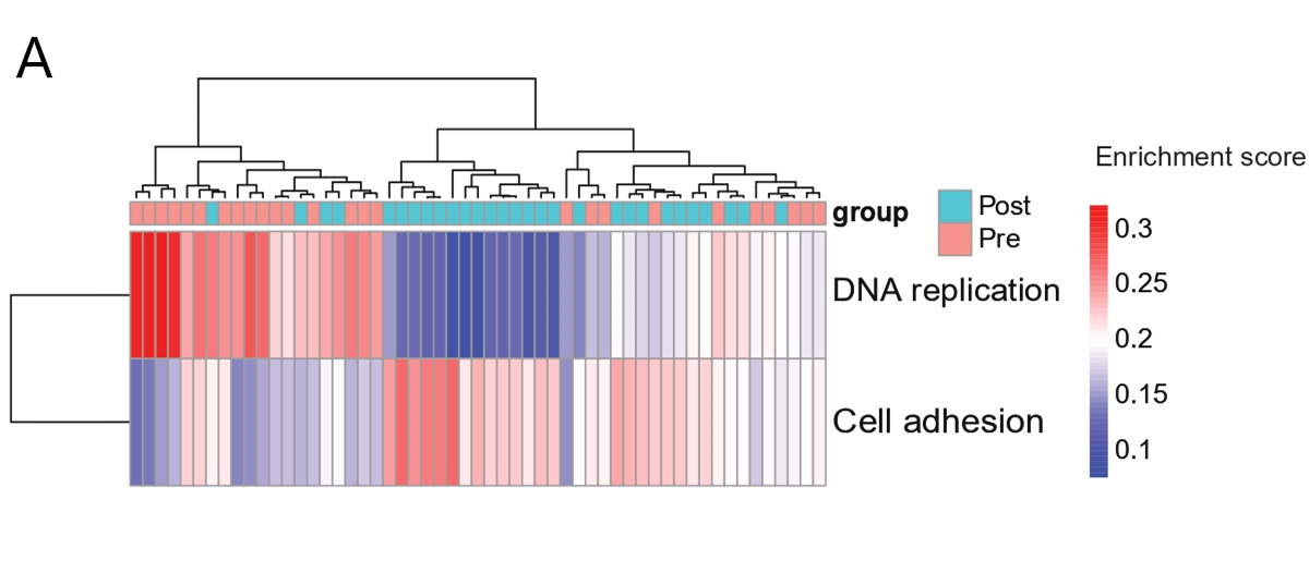 Figure 6_page-0001(1)_副本