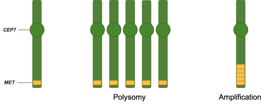 微信图片_20230926115306