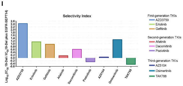 GFR-SEPT14（E25:S7）细胞研究实验结果