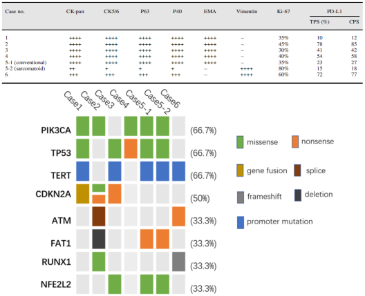 图1. 6例卵巢鳞癌患者的免疫组化（上）和突变图谱（下）。其中14和5-1为常规SCC，5-2和6为肉瘤样SCC。