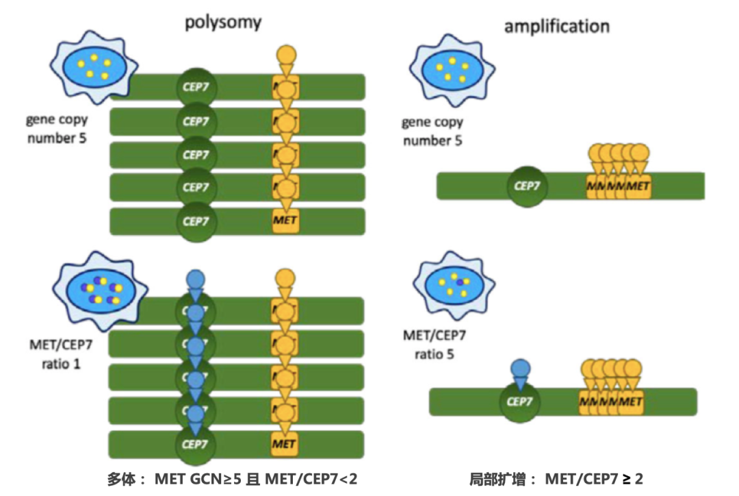 微信图片_20230926115315