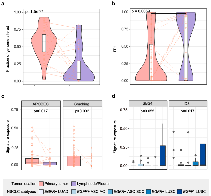 原发和转移肺腺鳞癌的基因组特征