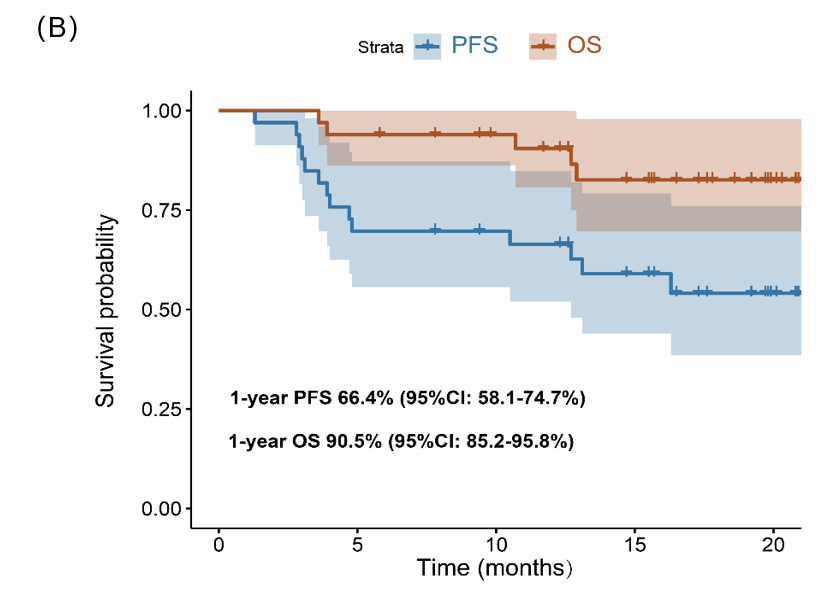 MIT方案一线治疗PCNSL患者的疗效（A）和生存分析（B）
