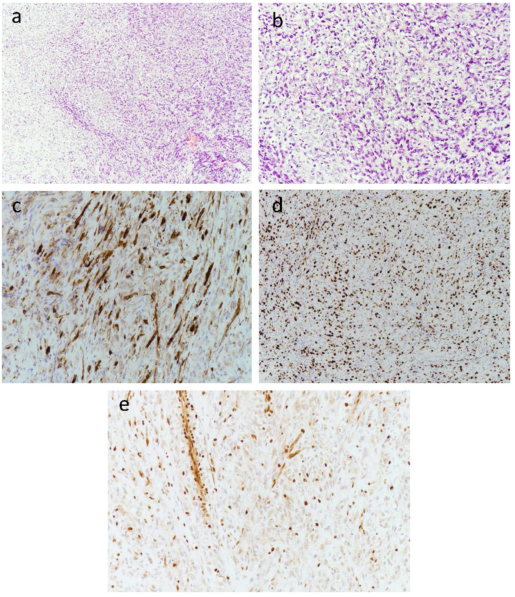 微信图片_20230926114451
