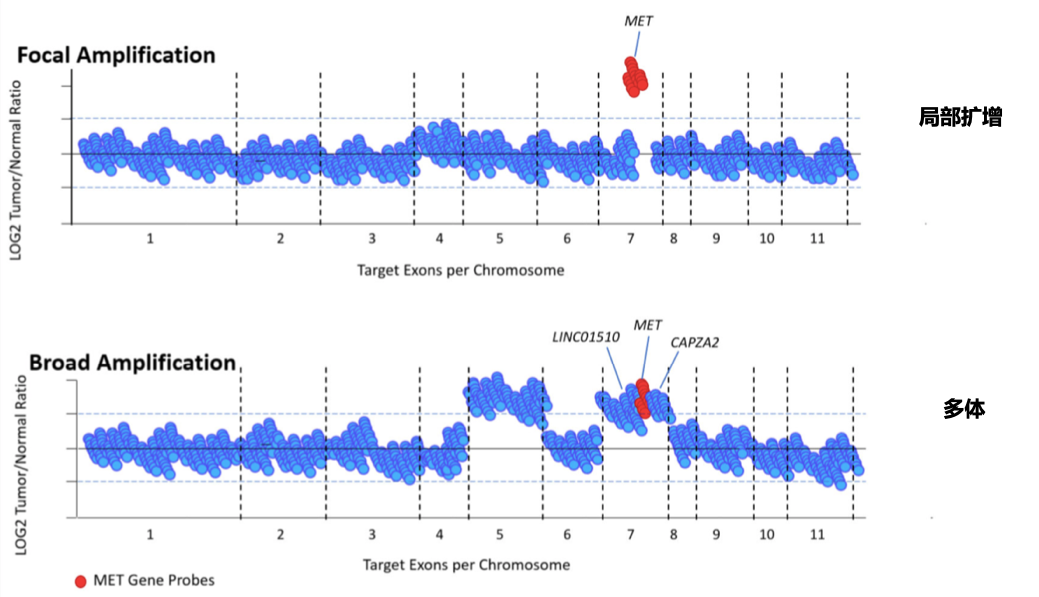 微信图片_20230926115318