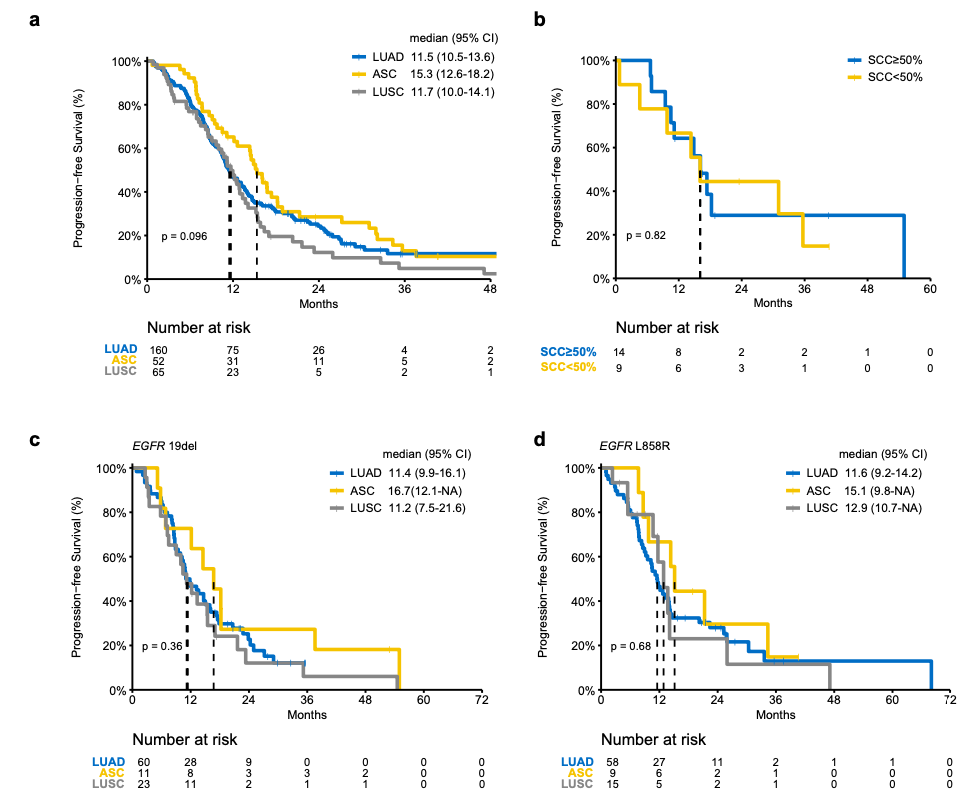 肺腺癌、肺腺鳞癌和肺鳞癌EGFR-TKI治疗疗效