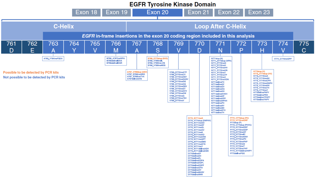 PCR检测到及未检测到的EGFR ex20ins突变亚型分布。橙色字体：PCR检测到的ex20ins突变亚型；蓝色字体：PCR未检测到的ex20ins突变亚型