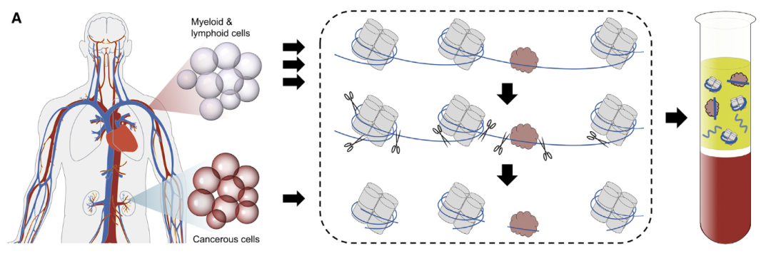 微信图片_20220725114301