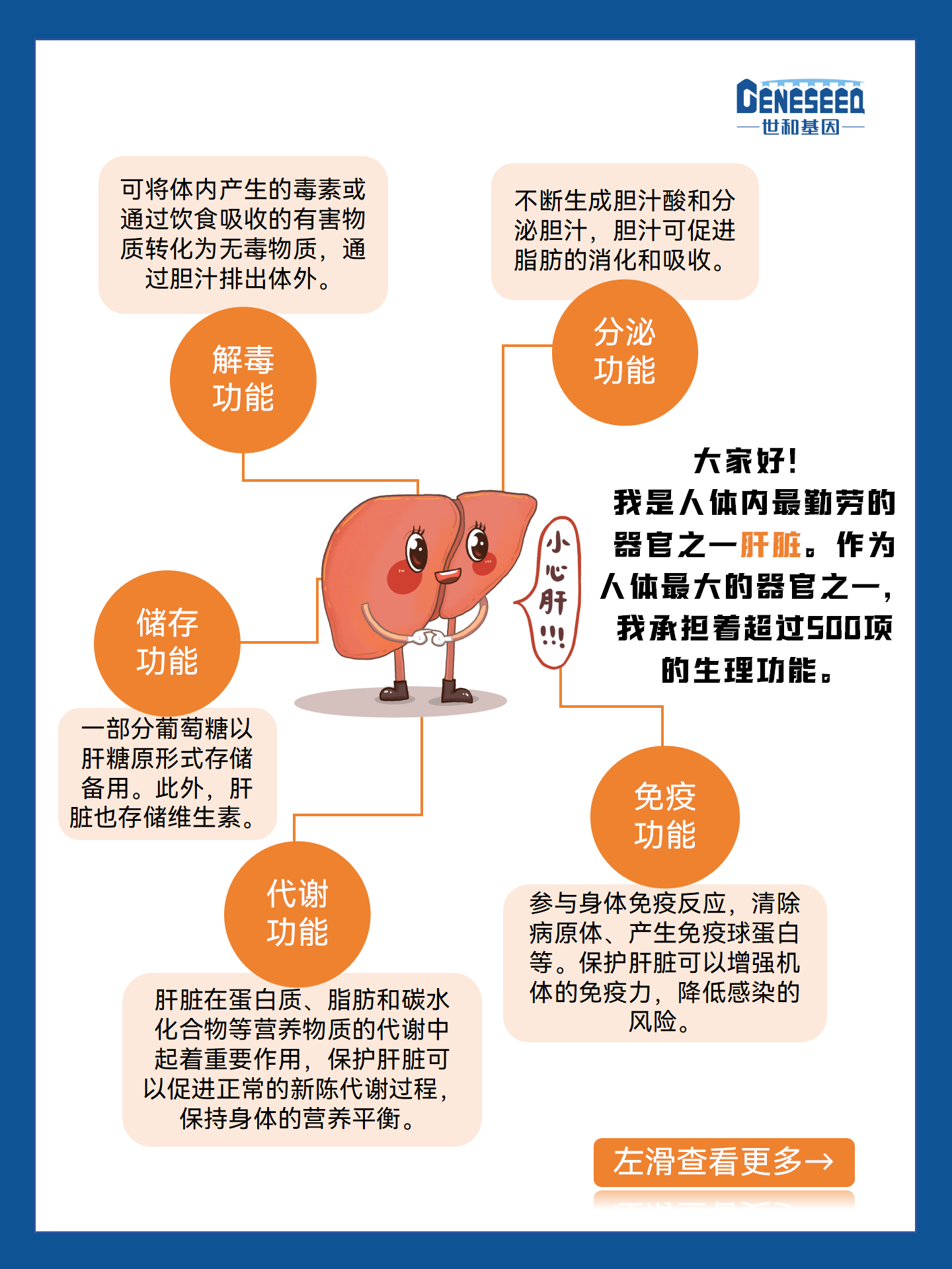 爱护肝脏，早防早治