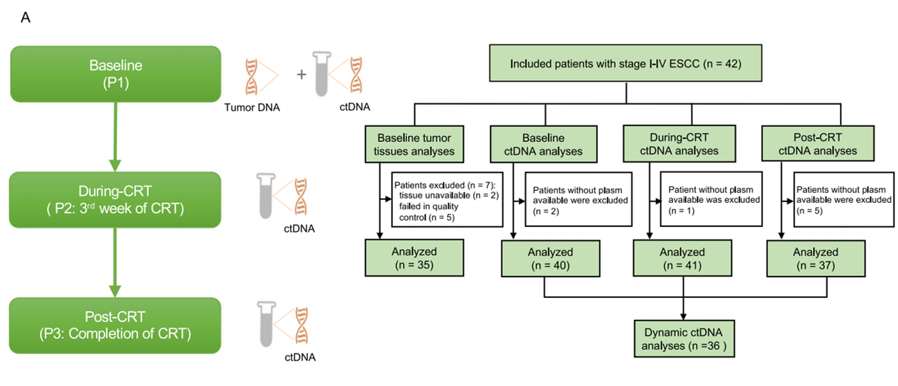 37000vip威尼斯学术文章研究设计