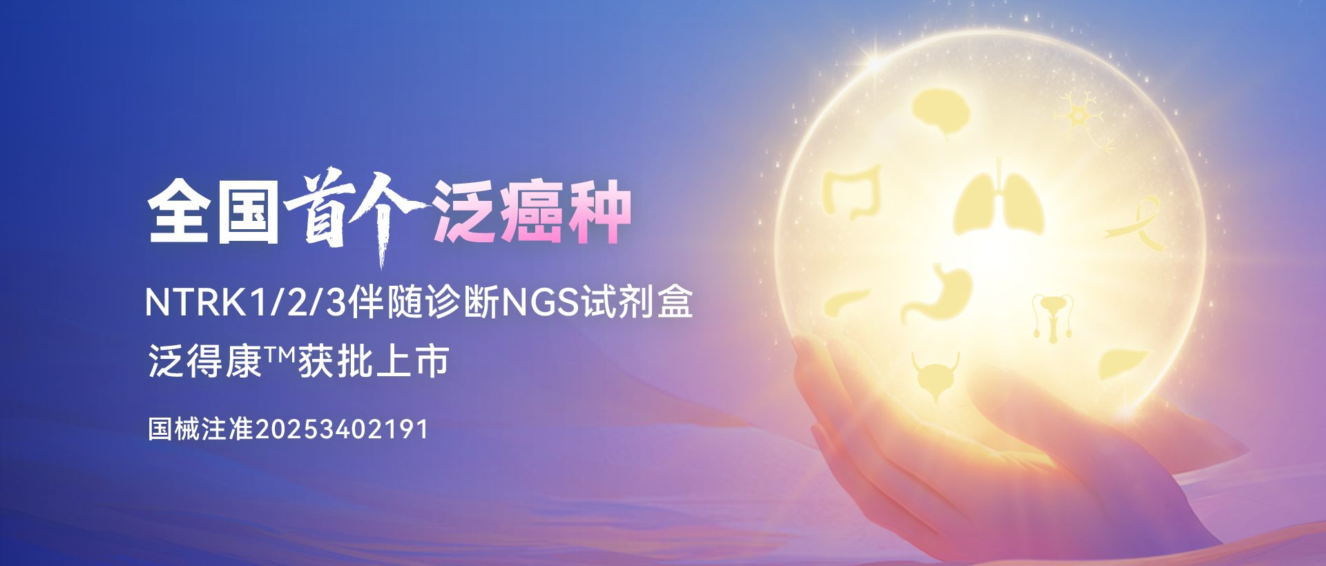 世和基因世和一号® 泛实体瘤437基因检测