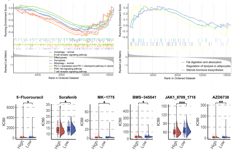 37000vip威尼斯学术文章
