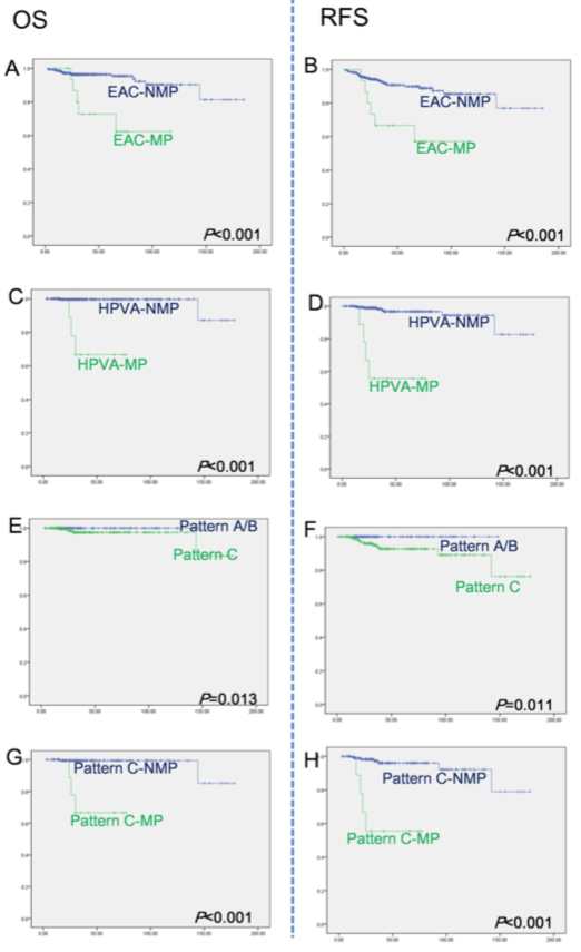 37000vip威尼斯基因学术文章