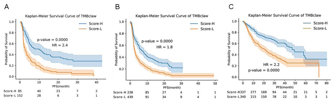 37000vip威尼斯基因肿瘤基因检测学术文章