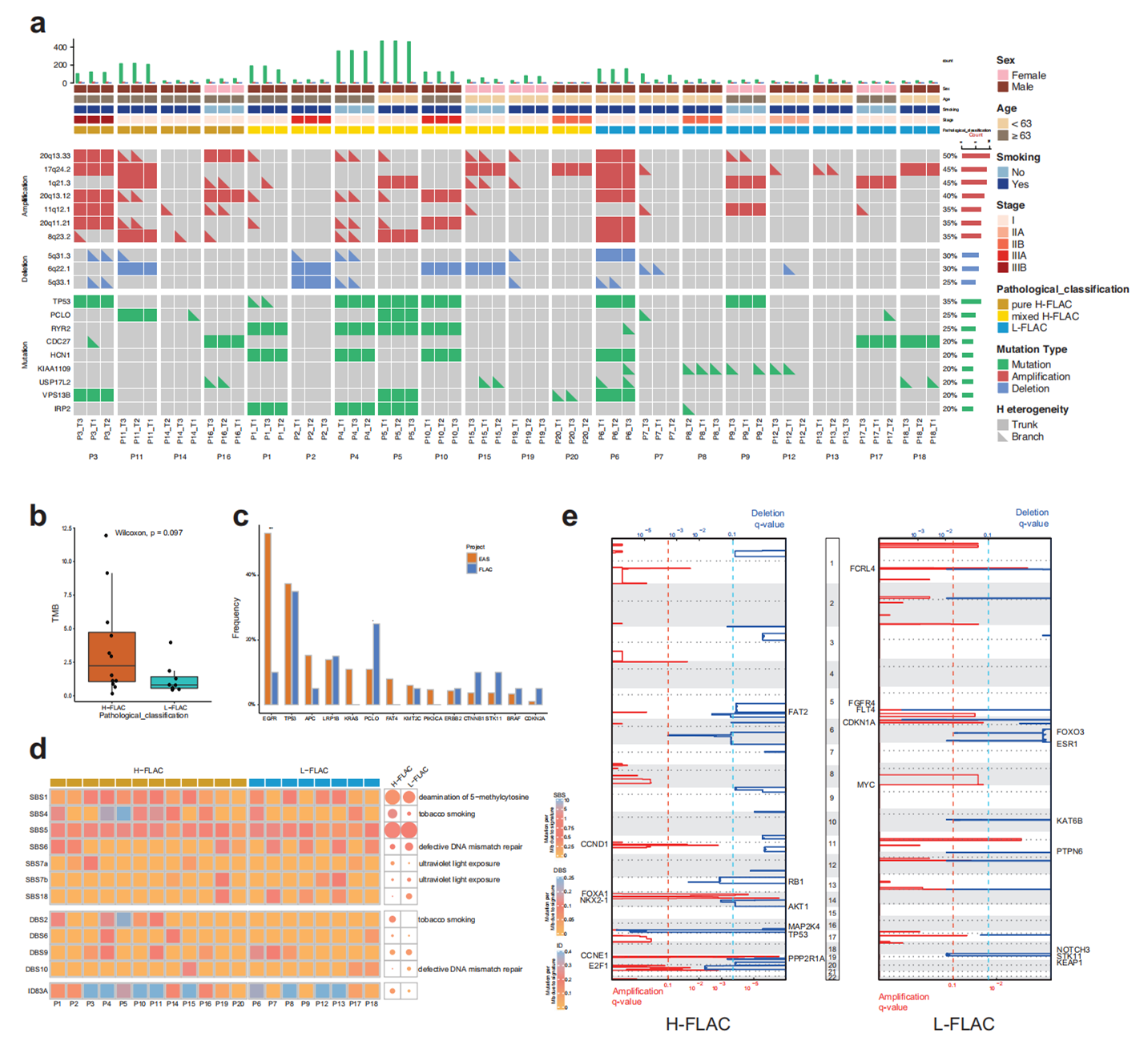 图2. FLAC患者基因组景观和突变特征。