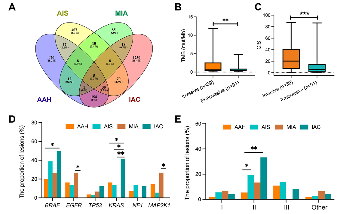 超级MPLC不同病理亚型之间的突变频谱比较