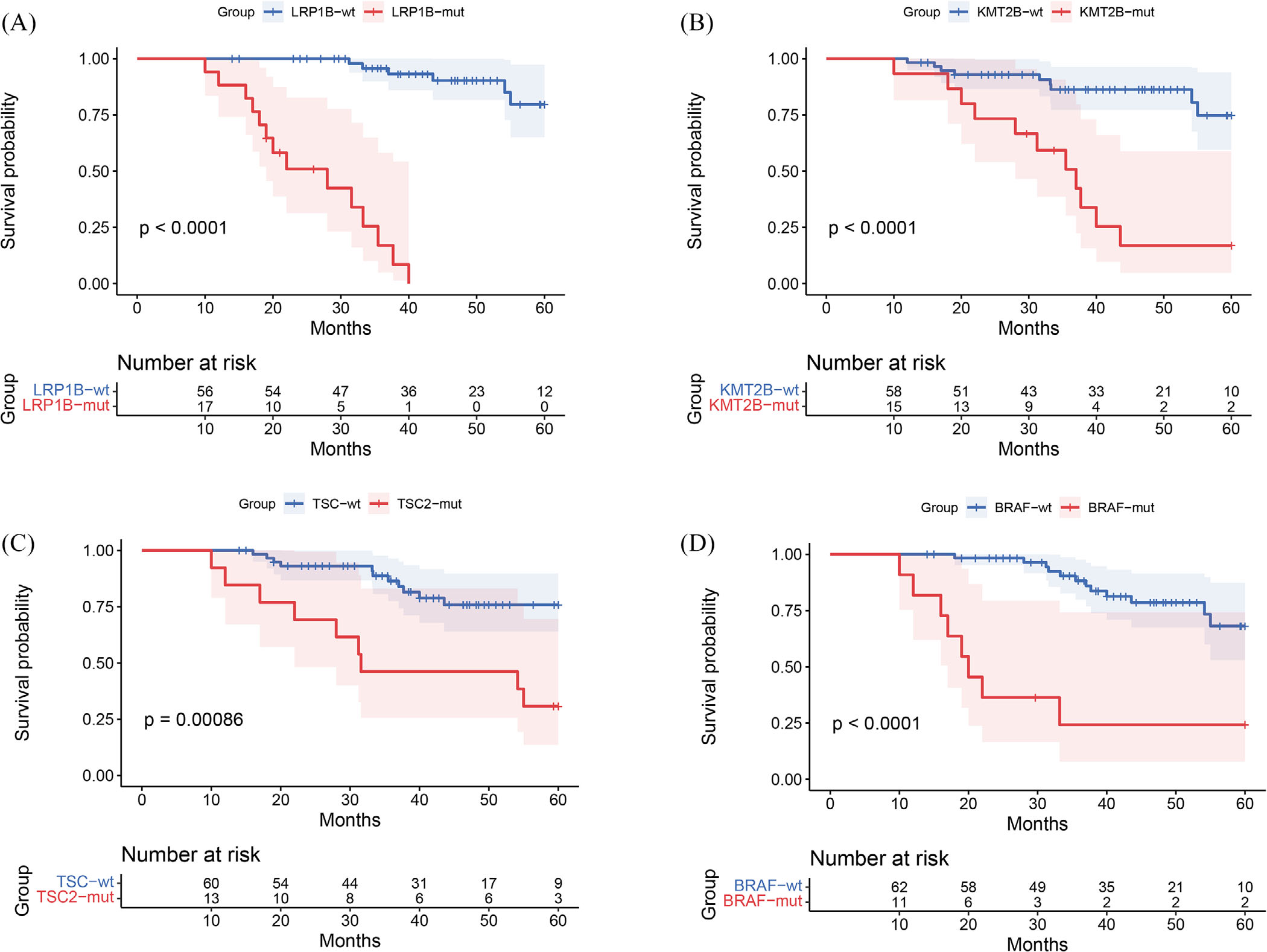 T1/2N+ 结直肠癌患者基于关键基因的分层总生存期分析