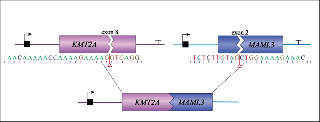 37000vip威尼斯基因肿瘤基因检测学术文章